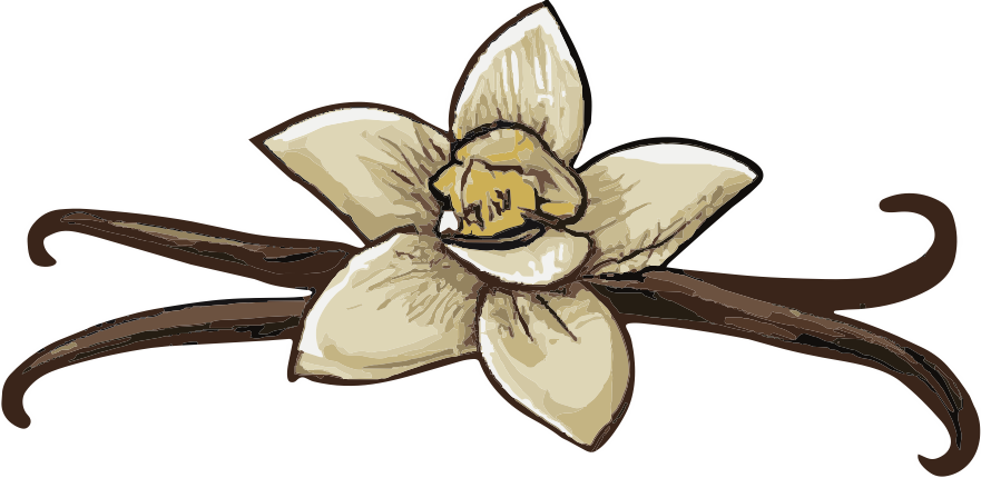 Vanilla flavor artwork
